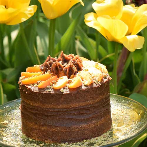 Carob Layer Cake with Apricots and Pistachios