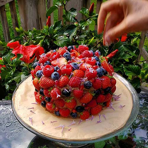Seasonal Fruit Covered Cake