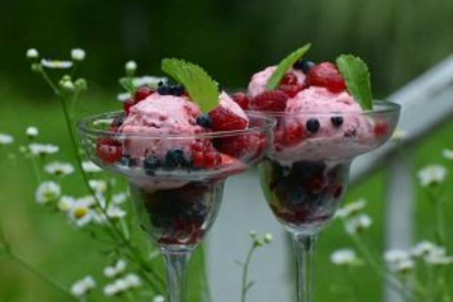 Skinny Sugar-Free Strawberry Ice Cream