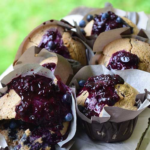 Whole Wheat Wild Blueberry Muffins drenched in Blueberry Jelly